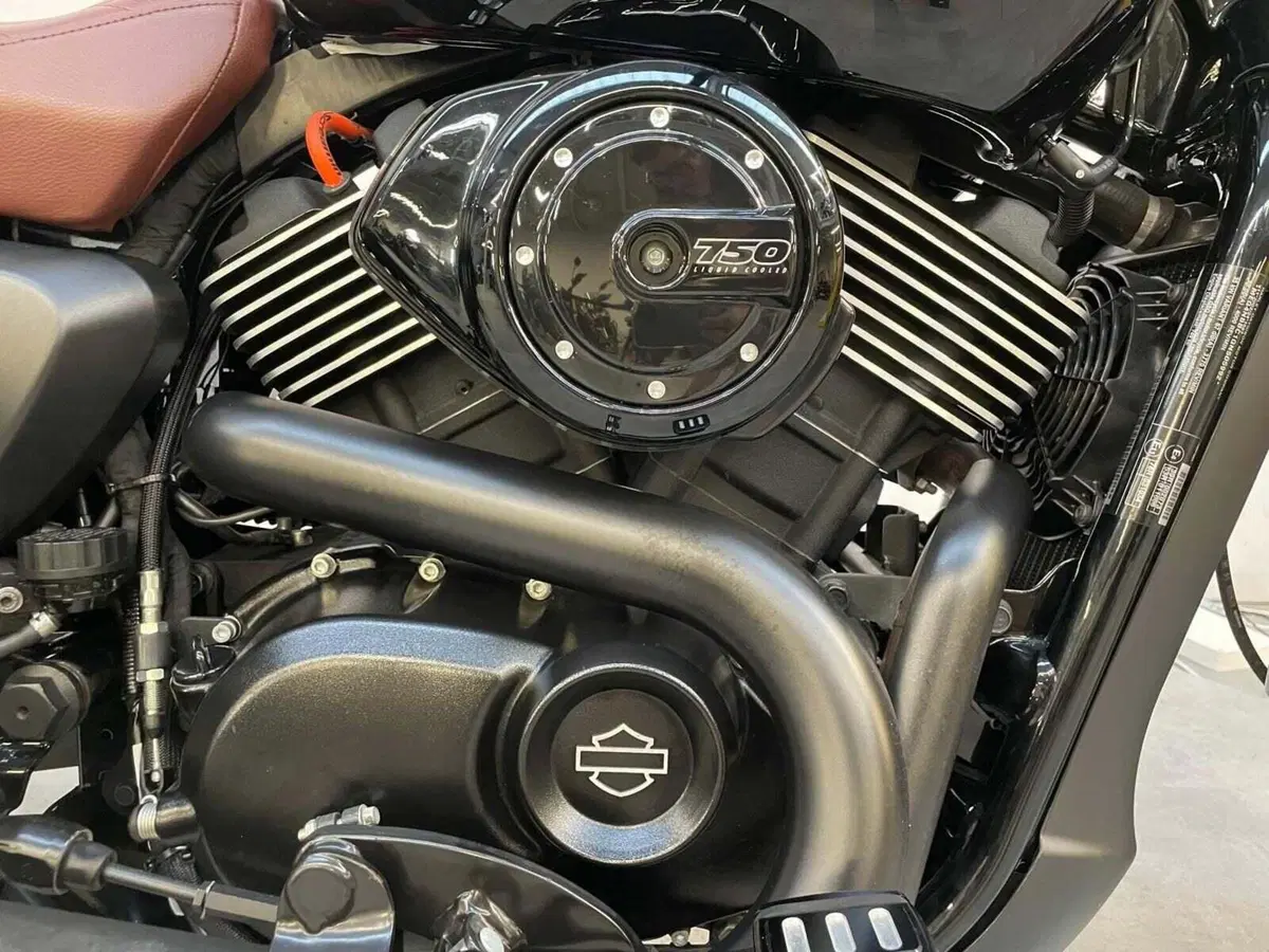 Harley-Davidson 750 Street (2014 - 16) - XG 750 (10)