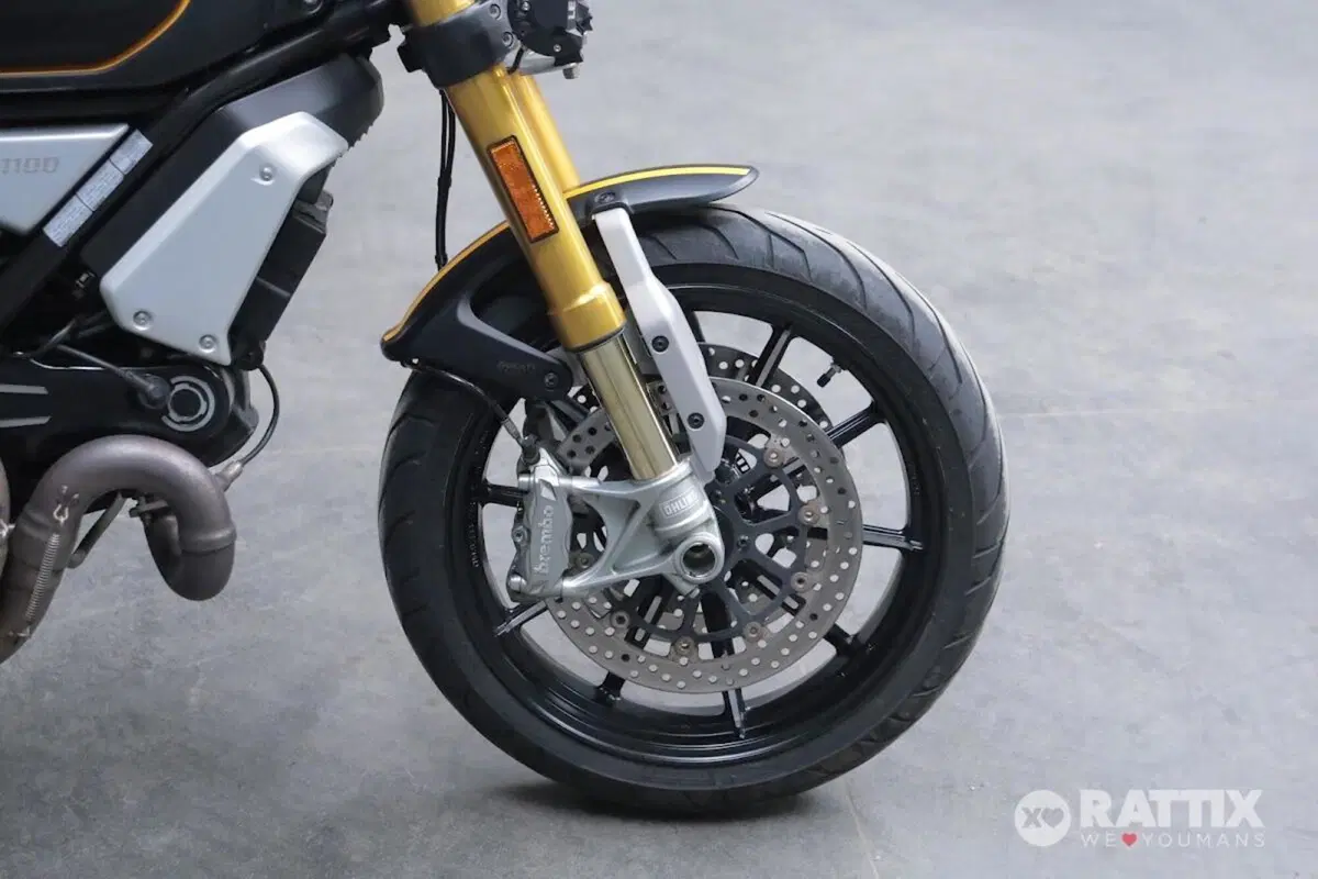 Ducati Scrambler 1100 (2018 - 20) (9)