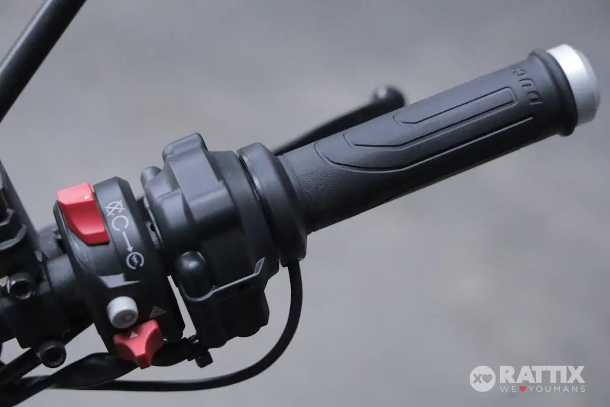 Ducati Scrambler 1100 (2018 - 20) (12)