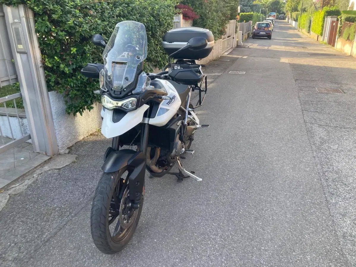 Triumph Tiger 900 GT (2020 - 23) (8)