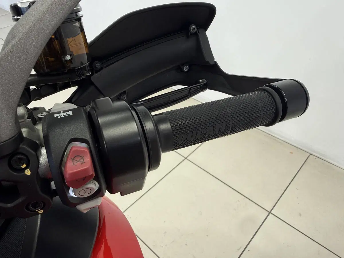 Ducati Multistrada 1260 (2018 - 20) (11)