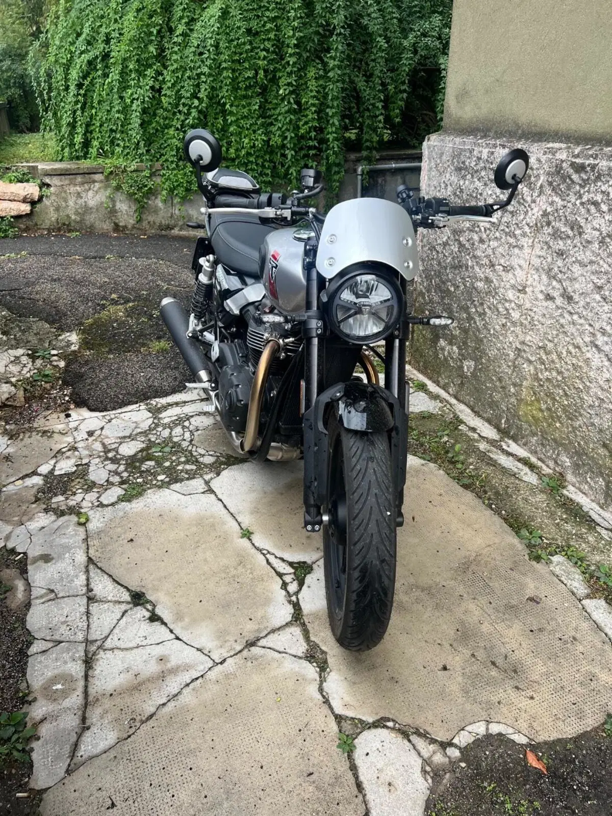Triumph Speed Twin 900 (2025 - 26) (2)