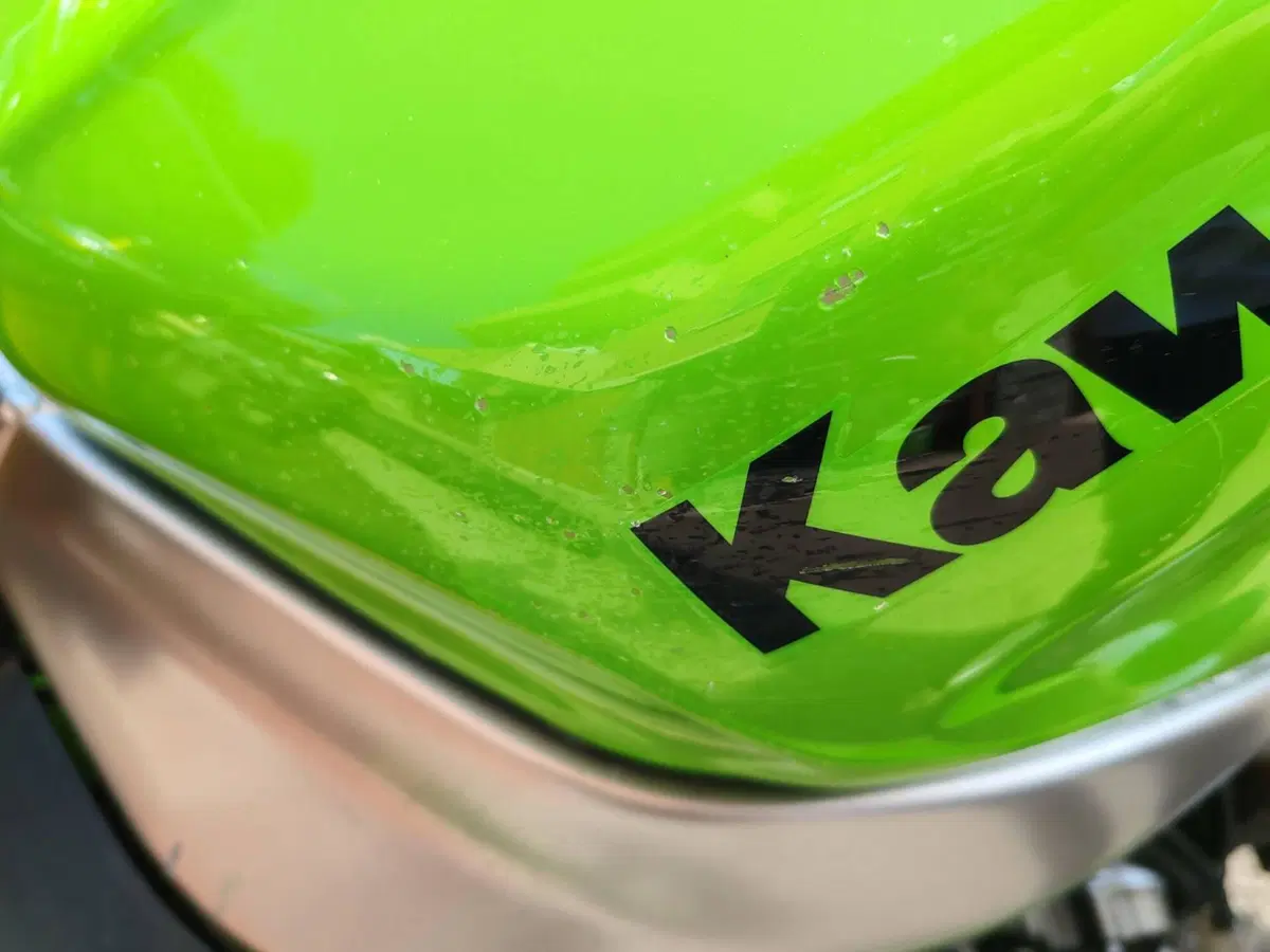 Kawasaki Ninja 636 ZX-6R (2002 - 03) (9)