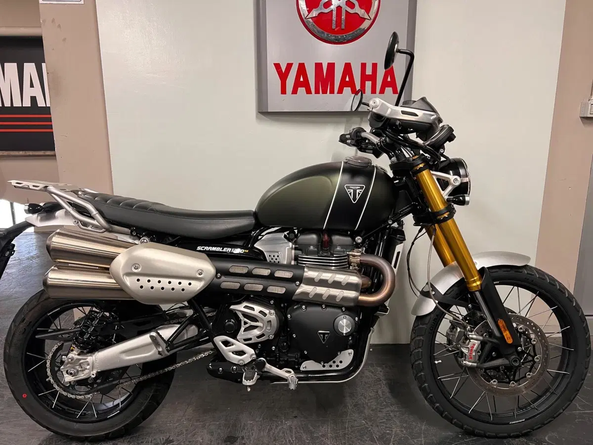 Triumph Scrambler 1200 XE (2024 - 25)