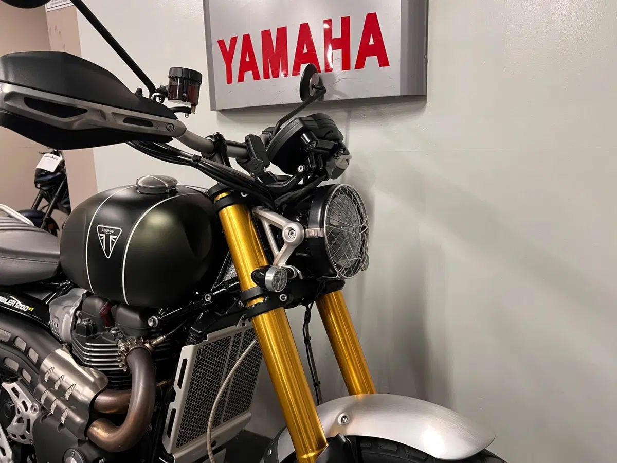 Triumph Scrambler 1200 XE (2024 - 25) (2)