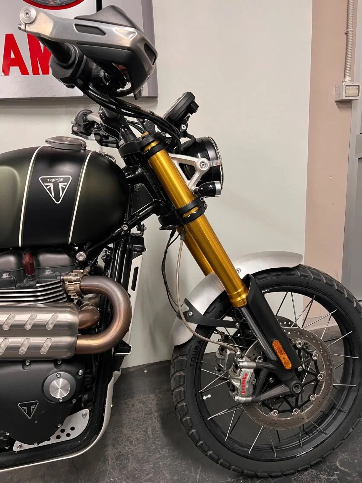 Triumph Scrambler 1200 XE (2024 - 25) (7)