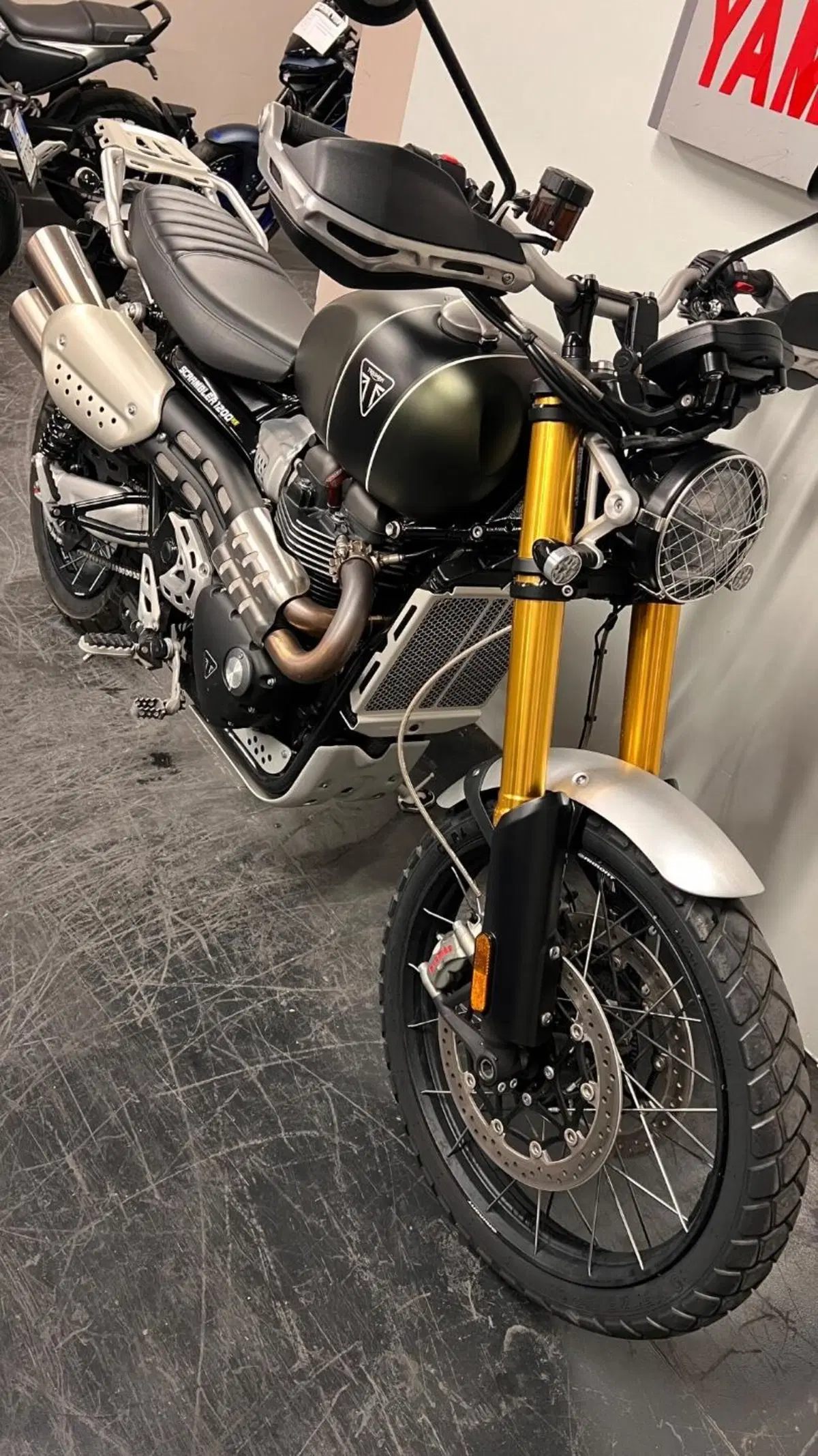 Triumph Scrambler 1200 XE (2024 - 25) (11)