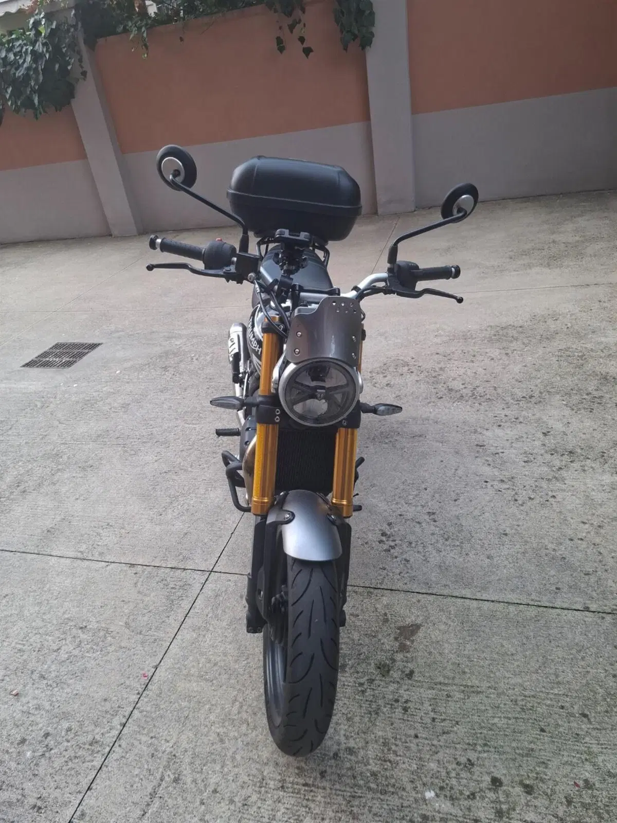 Triumph Speed 400 (2024 - 26) (6)