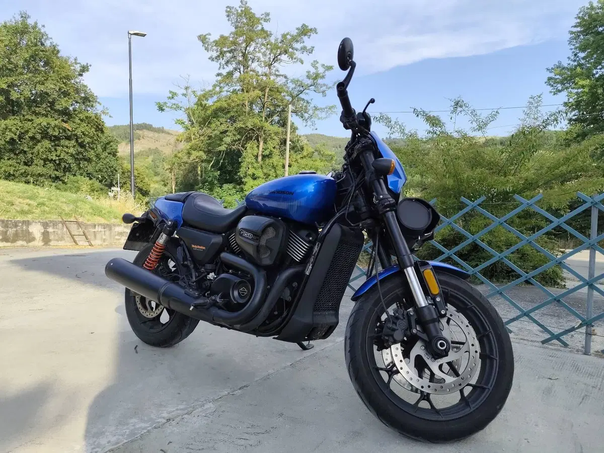 Harley-Davidson 750 Street Rod (2017 - 20) - XG 750 (2)