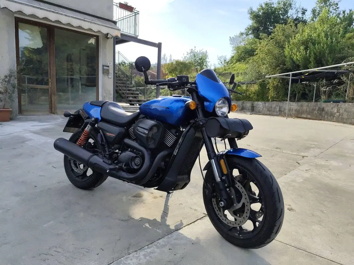 Harley-Davidson 750 Street Rod (2017 - 20) - XG 750 (5)