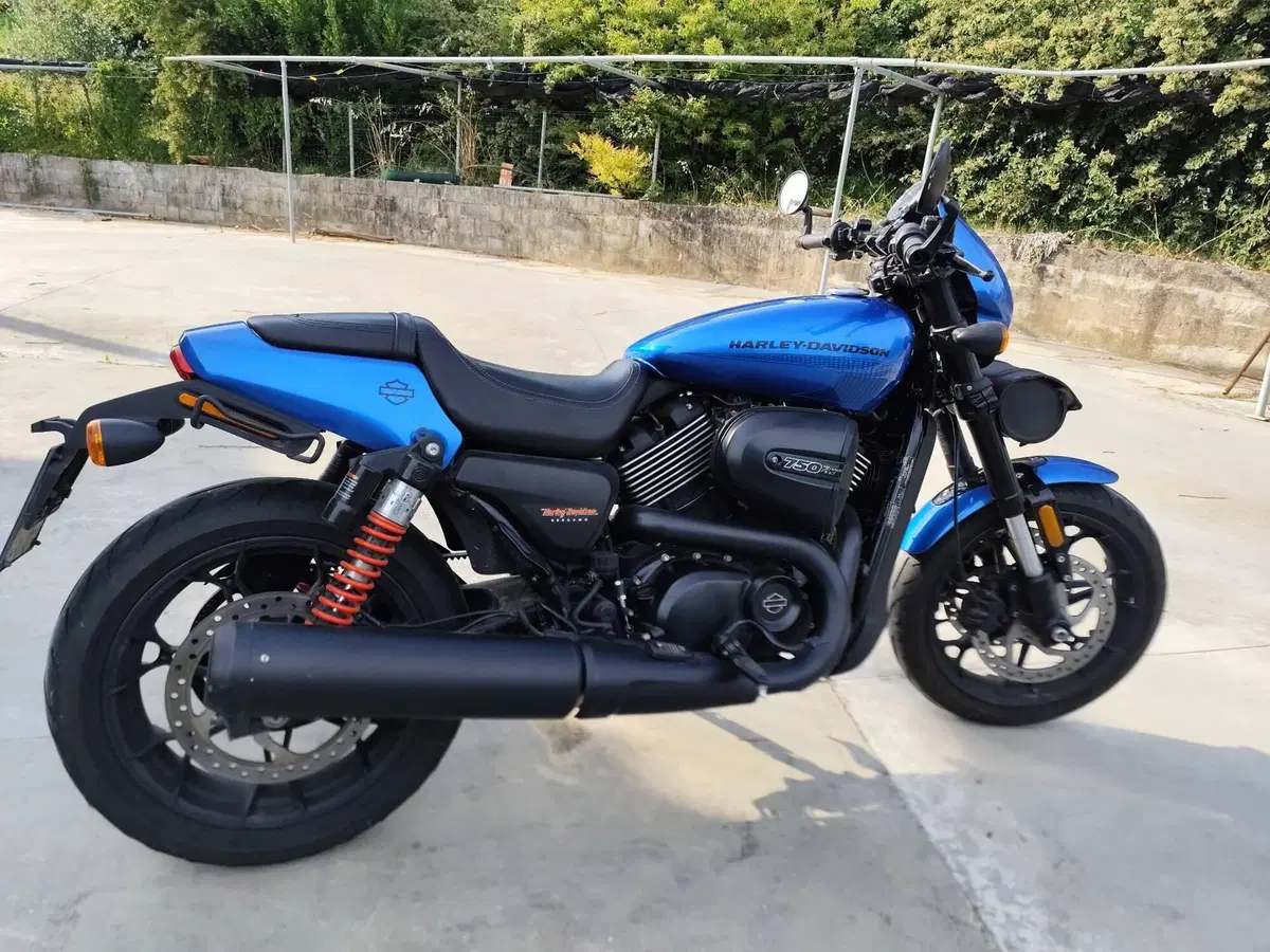 Harley-Davidson 750 Street Rod (2017 - 20) - XG 750 (6)