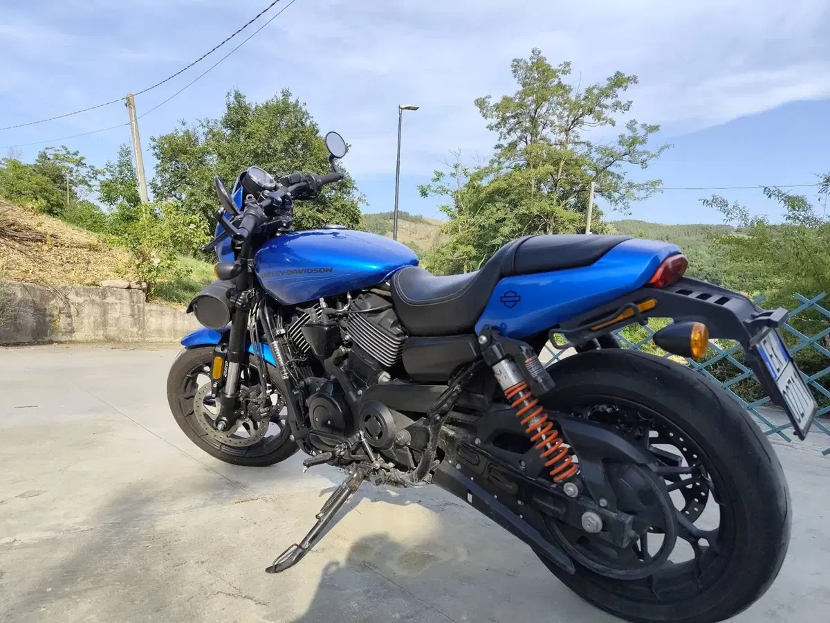 Harley-Davidson 750 Street Rod (2017 - 20) - XG 750 (7)