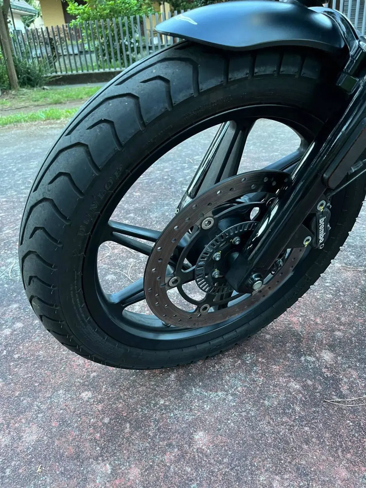 Moto Guzzi V7 Stone (2021 - 24) (4)