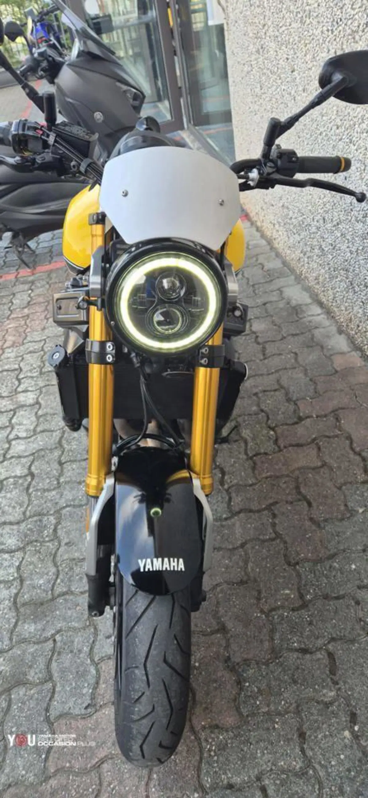 Yamaha XSR 900 ABS 60th Anniversary (2016 - 18) (3)