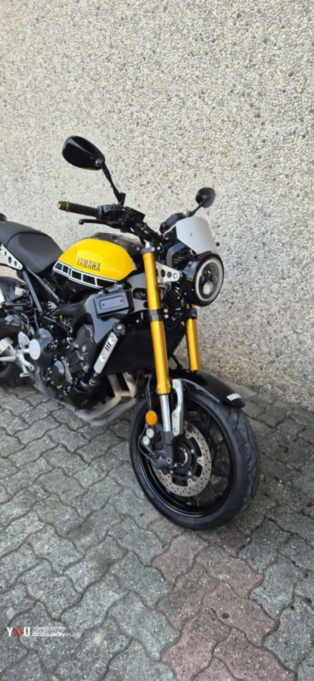 Yamaha XSR 900 ABS 60th Anniversary (2016 - 18) (2)