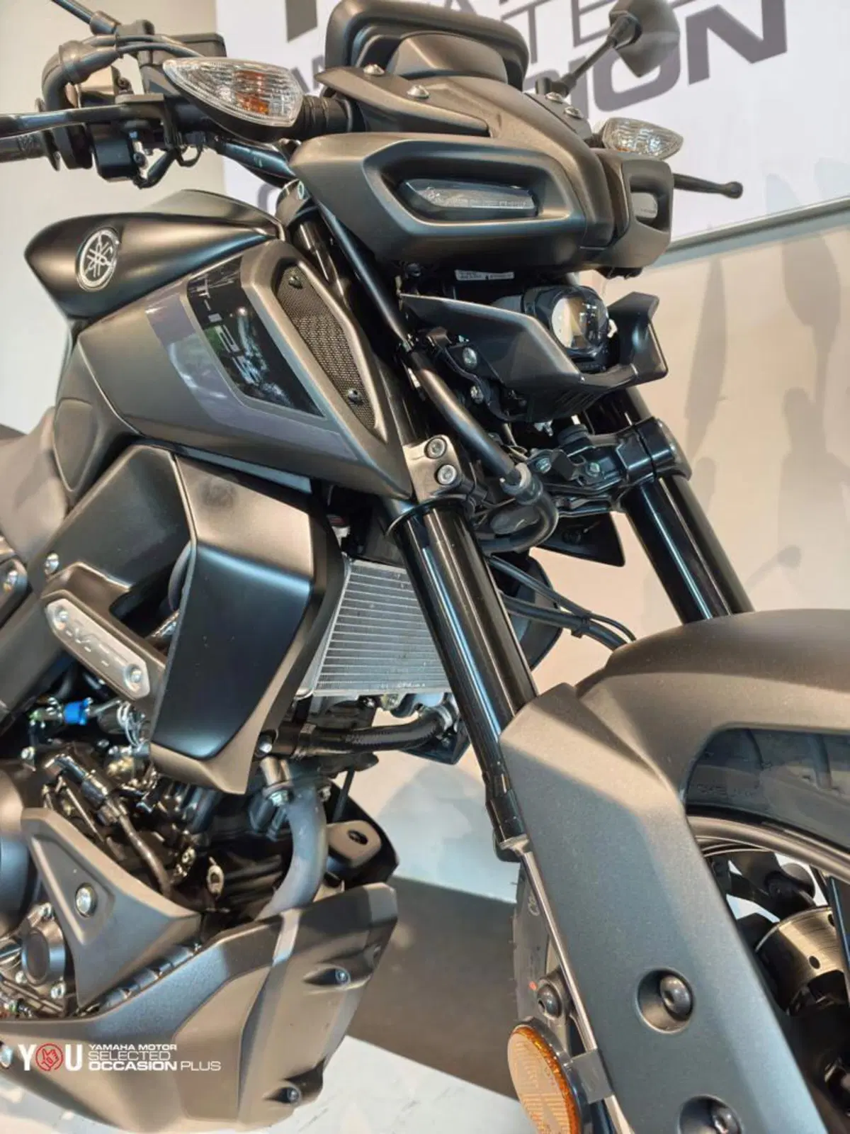 Yamaha MT-125 (2025 - 26) (6)