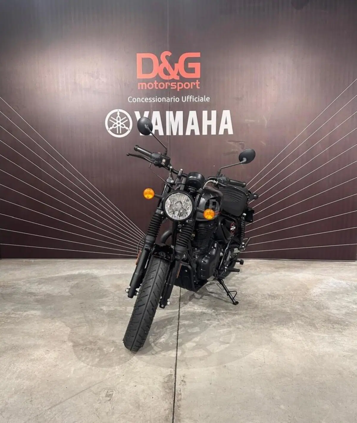 Royal Enfield HNTR 350 (2022 - 26) (3)