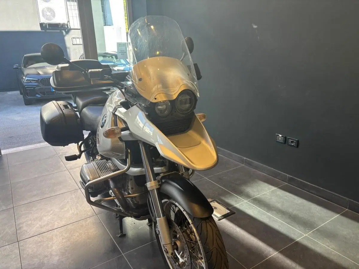 Bmw R 1150 GS (1999 - 03) (5)