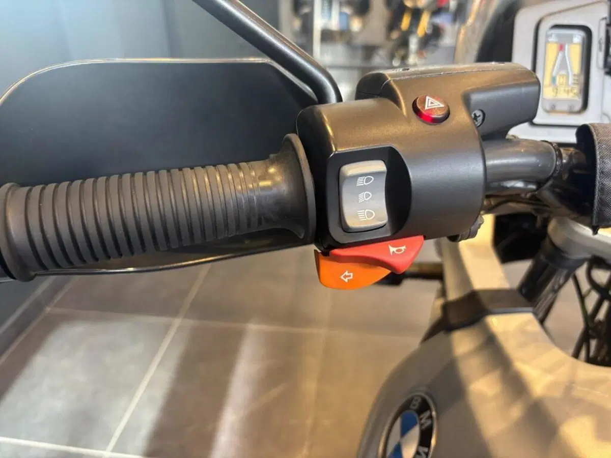 Bmw R 1150 GS (1999 - 03) (8)