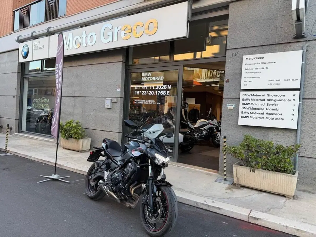 Kawasaki Z 650 (2021 - 24)