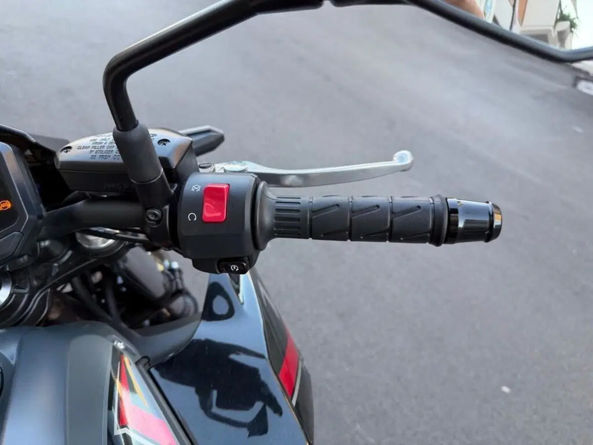 Kawasaki Z 650 (2021 - 24) (9)