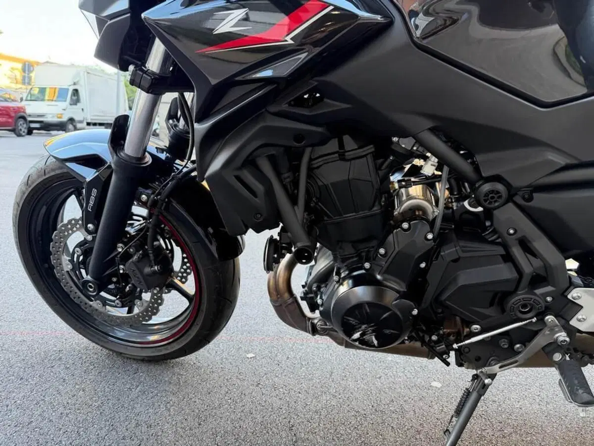 Kawasaki Z 650 (2021 - 24) (6)