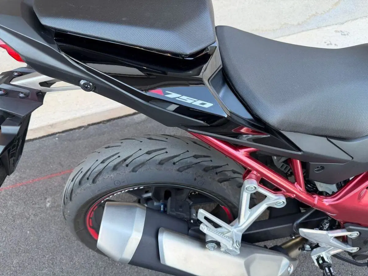 Honda CB 750 Hornet (2023 - 24) (6)