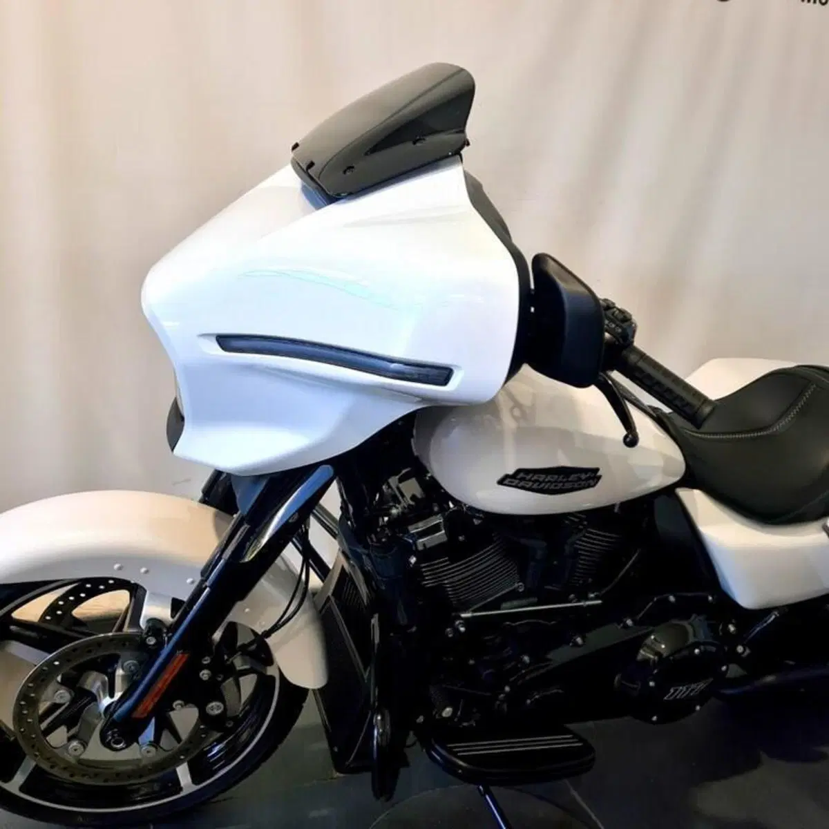 Harley-Davidson 117 Street Glide (2021) - FLHXSE (8)