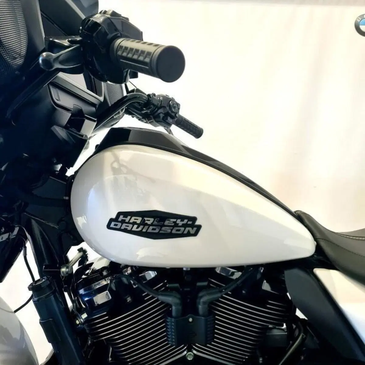 Harley-Davidson 117 Street Glide (2021) - FLHXSE (9)