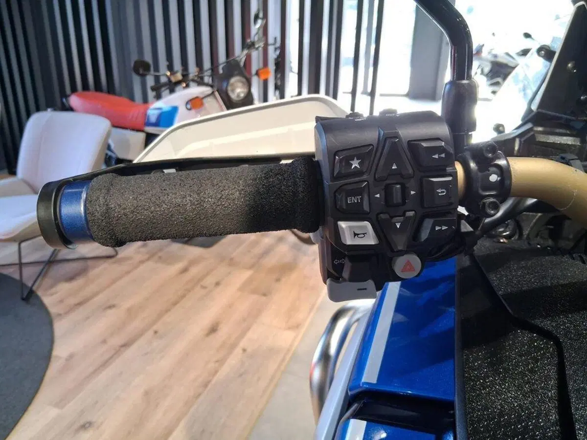 Honda Africa Twin CRF 1100L DCT (2020 - 21) (9)
