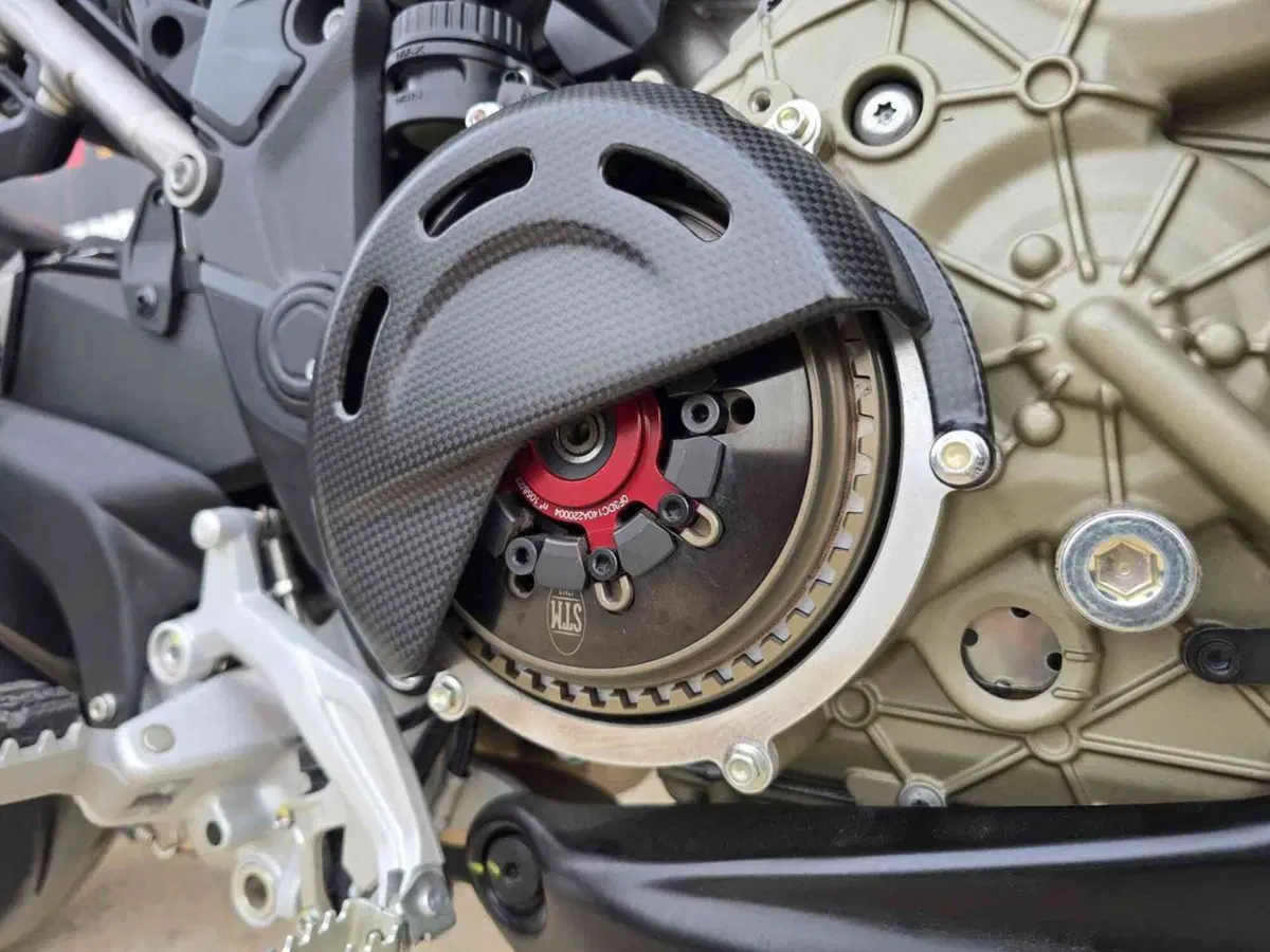 Ducati Multistrada V4 RS (2024 - 25) (16)