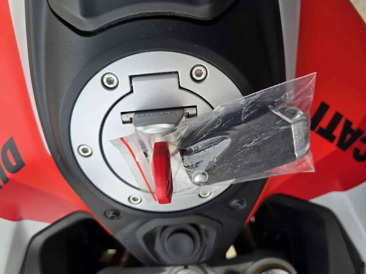 Ducati Multistrada V4 RS (2024 - 25) (18)
