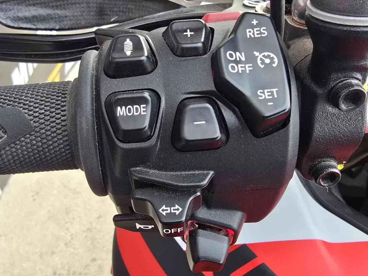 Ducati Multistrada V4 RS (2024 - 25) (14)