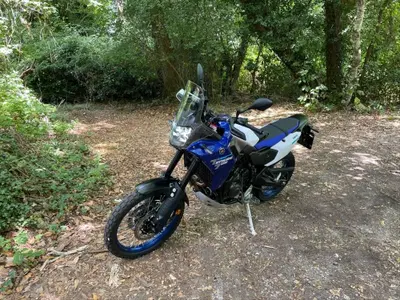 Yamaha Ténéré 700 (2025 - 26) usata