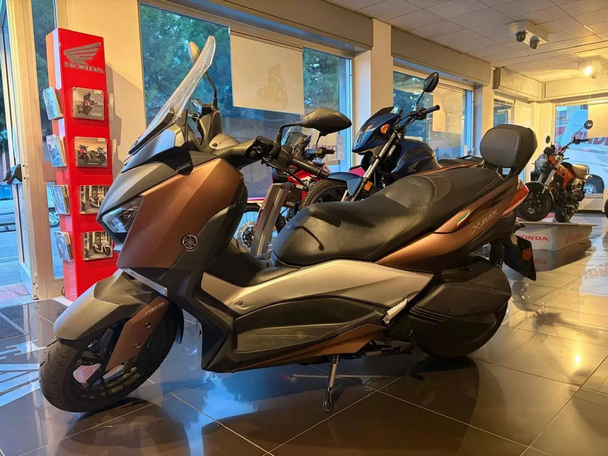 Yamaha X-Max 300 ABS (2017 - 20) (3)