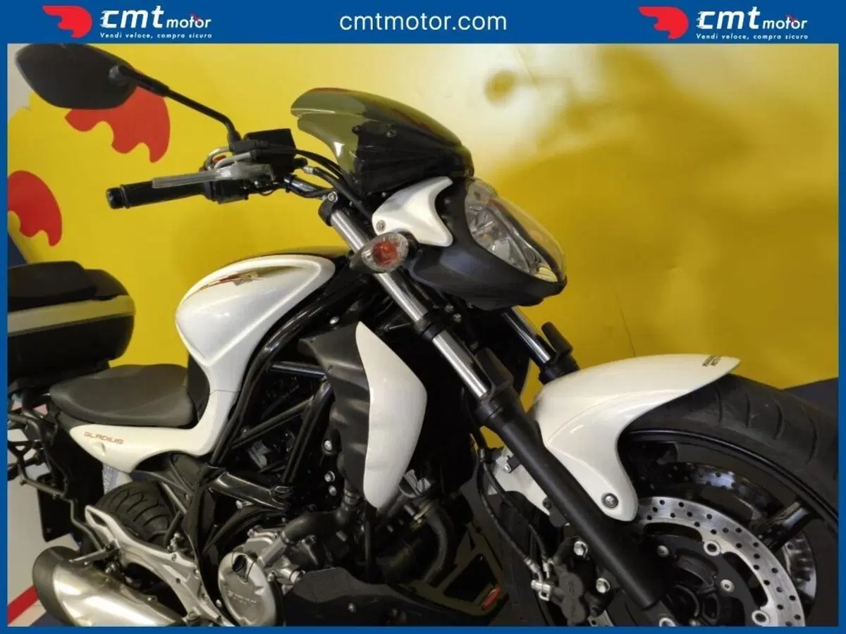 Suzuki Gladius 650 SFV (2009 - 15) (6)