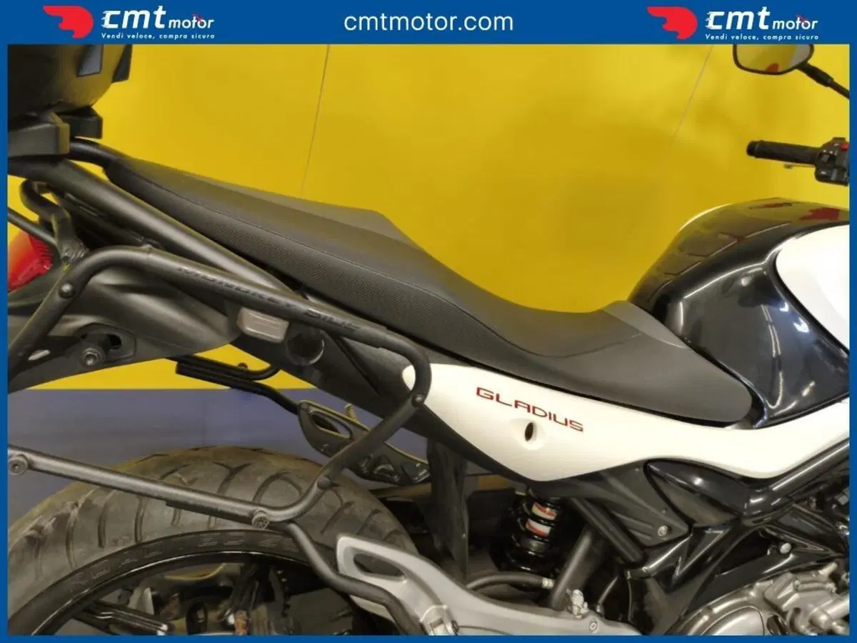 Suzuki Gladius 650 SFV (2009 - 15) (7)