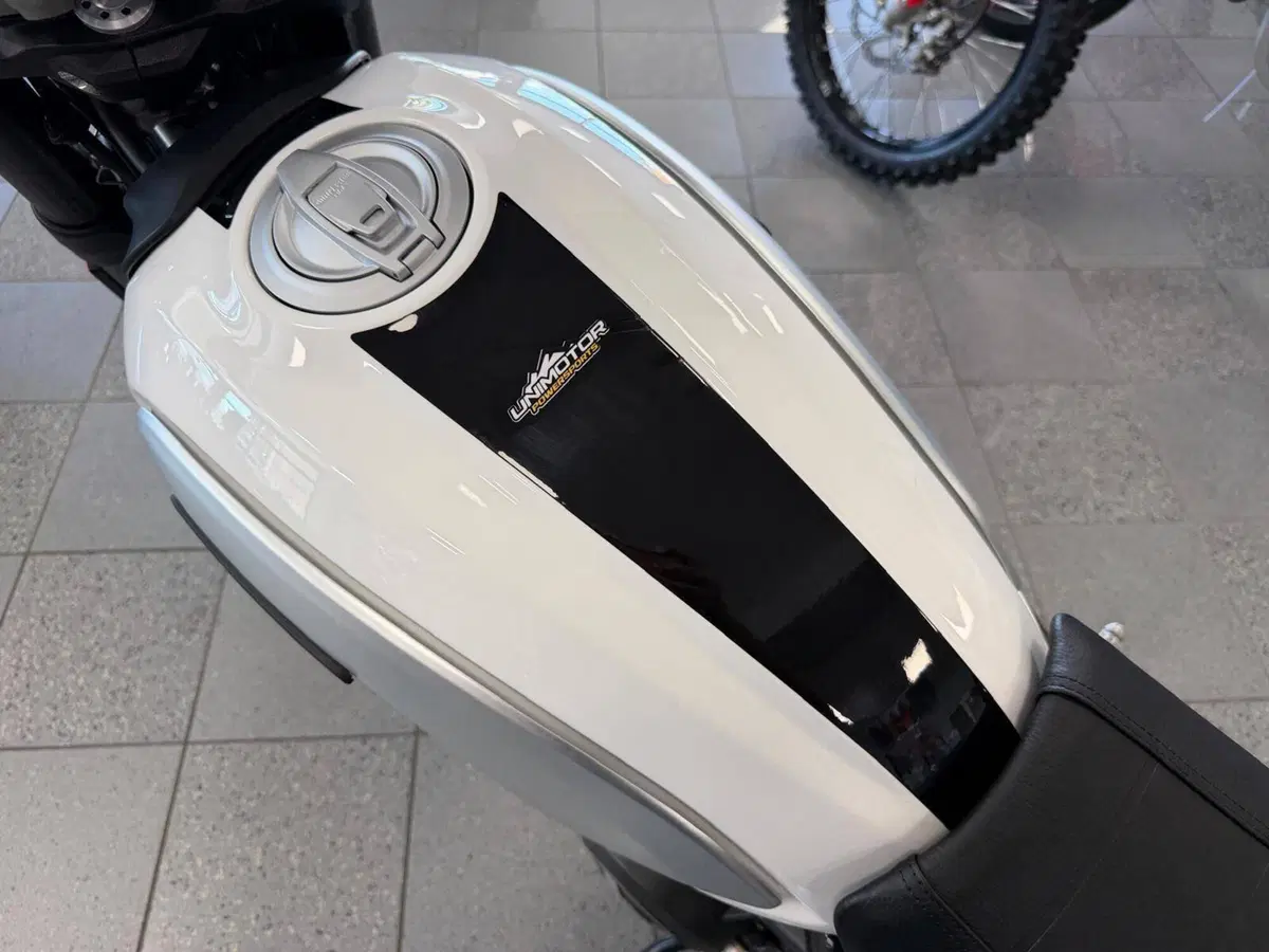 Ducati Scrambler 800 Classic (2017 - 18) (11)