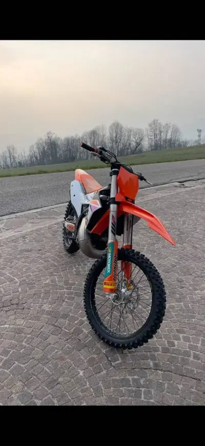 KTM 250 SX (2024) usata