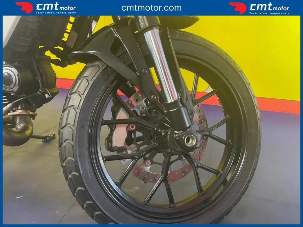 Ducati Scrambler 800 Icon (2023 - 24) (9)