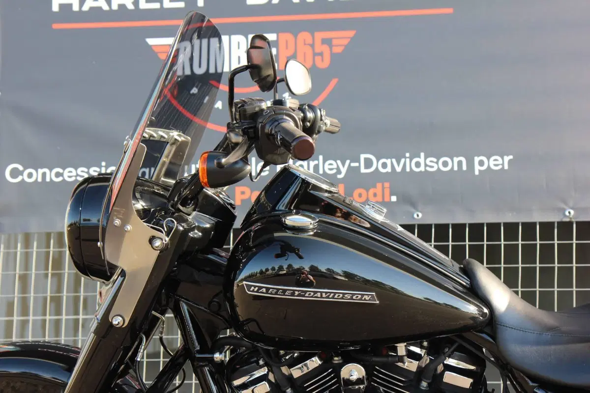 Harley-Davidson 114 Road King Special (2019 - 20) - FLHR (11)
