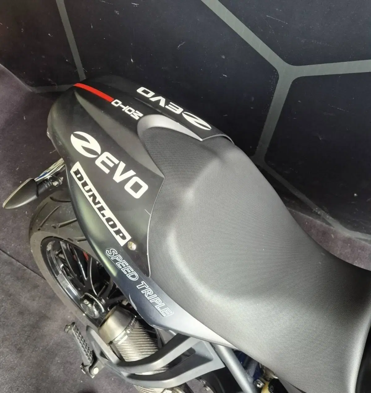 Triumph Speed Triple 1050 (2011 - 13) (5)