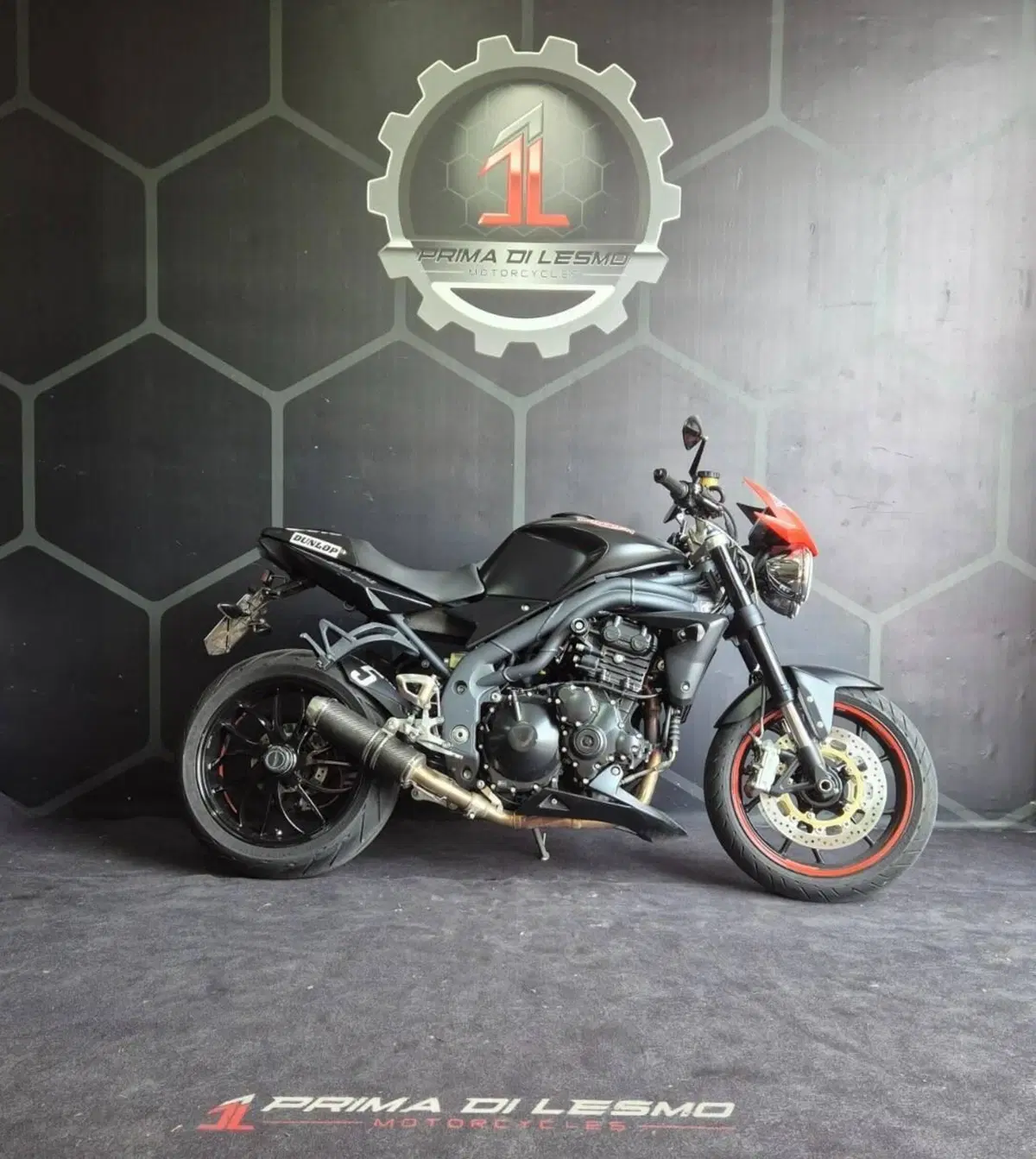 Triumph Speed Triple 1050 (2011 - 13)