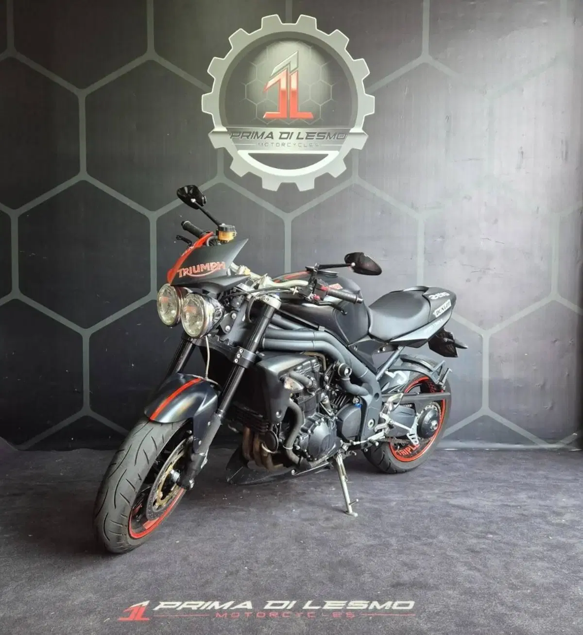 Triumph Speed Triple 1050 (2011 - 13) (3)