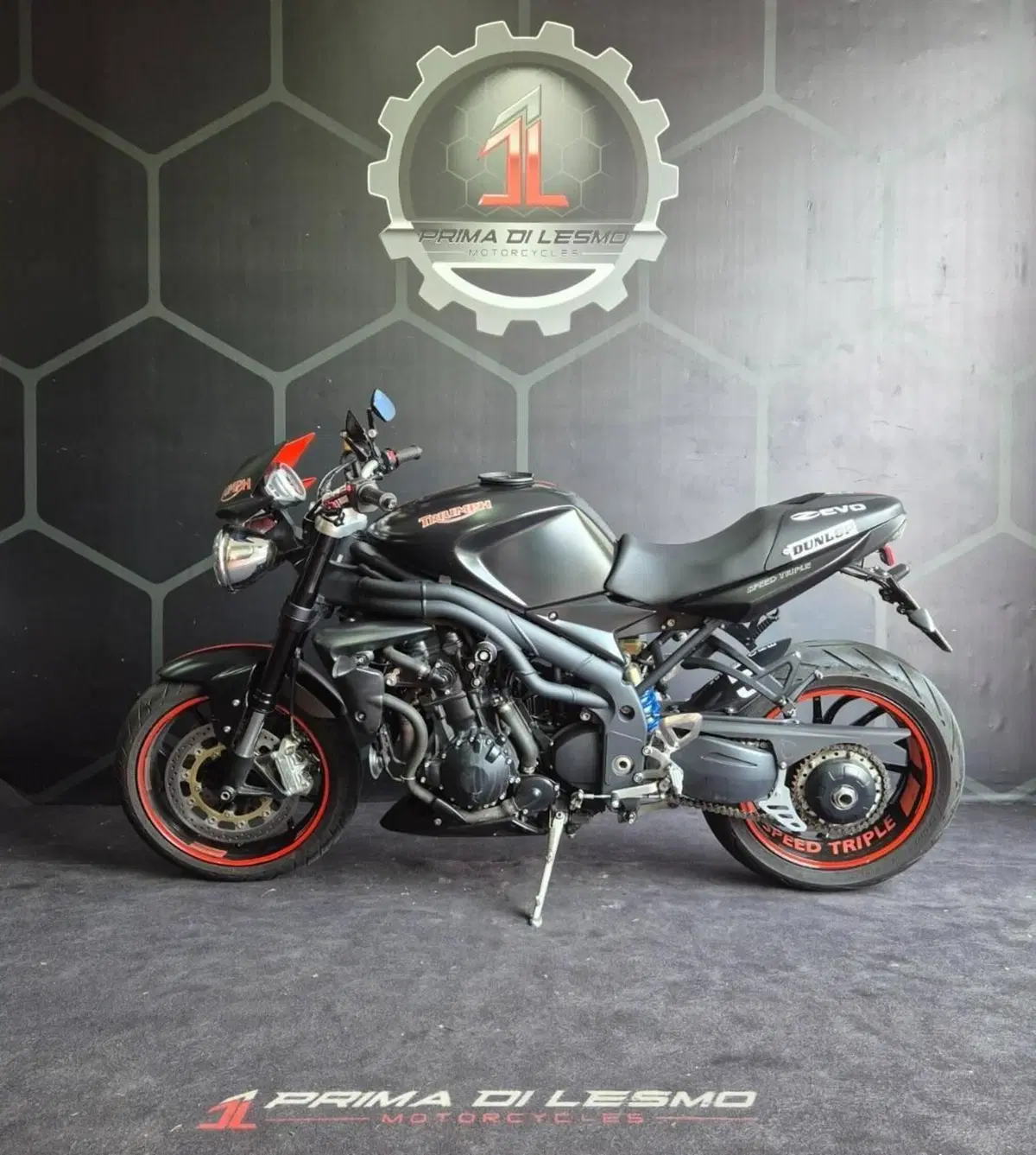 Triumph Speed Triple 1050 (2011 - 13) (2)