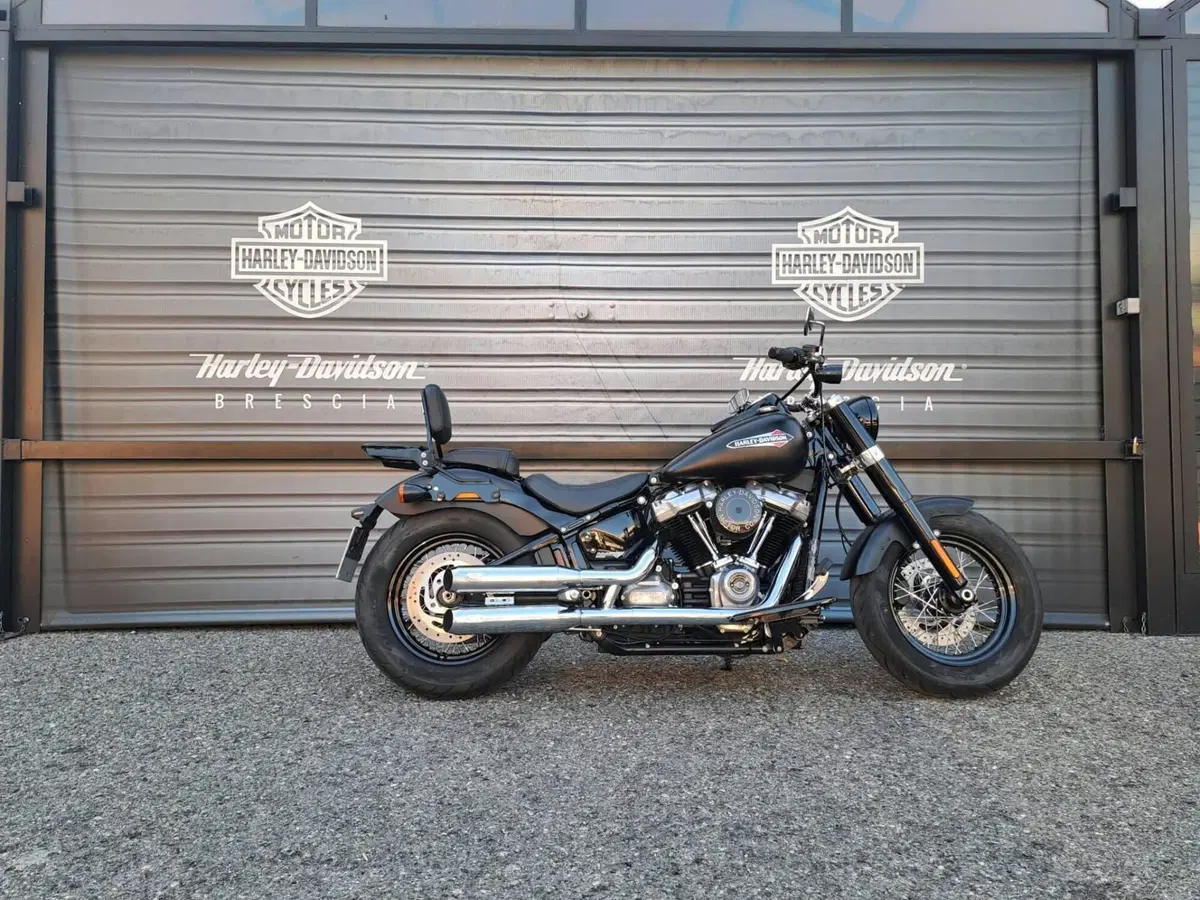 Harley-Davidson 107 Slim (2018 - 20) - FLSL (2)