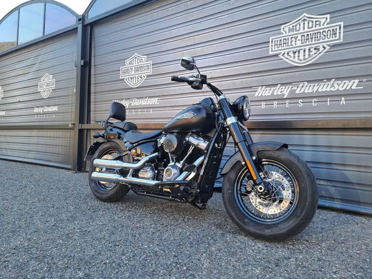 Harley-Davidson 107 Slim (2018 - 20) - FLSL (3)