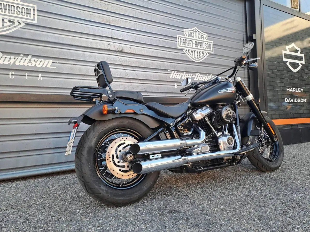 Harley-Davidson 107 Slim (2018 - 20) - FLSL (4)