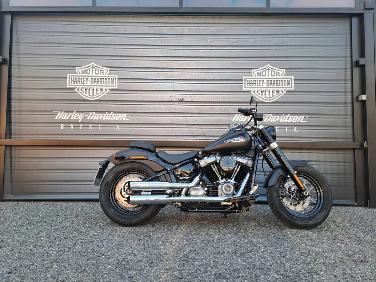 Harley-Davidson 107 Slim (2018 - 20) - FLSL