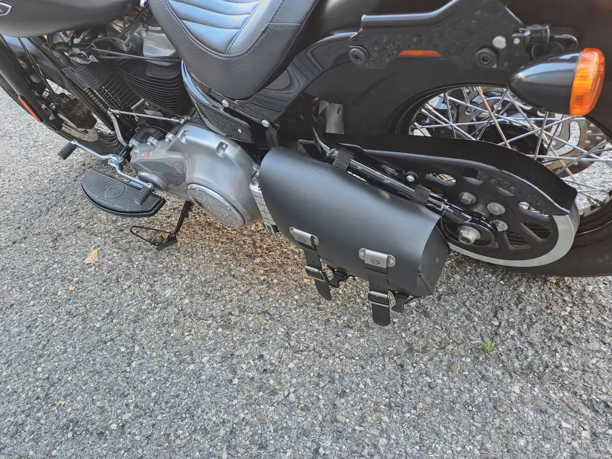 Harley-Davidson 107 Slim (2018 - 20) - FLSL (5)